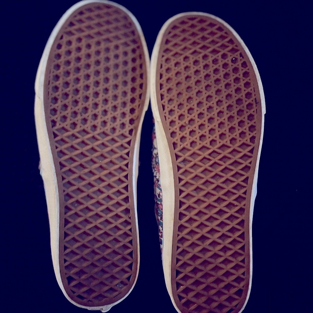 VANS X Waldo Skate Shoes - Picture 8 of 8